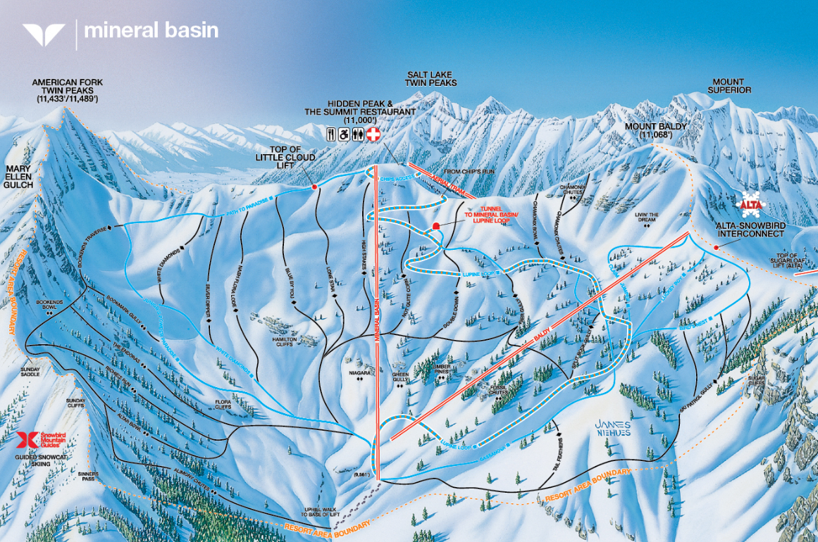 Snowbird Base Map Look: Hundreds Of Skiers Crowd Slope For Fresh Powder - Adventure ...