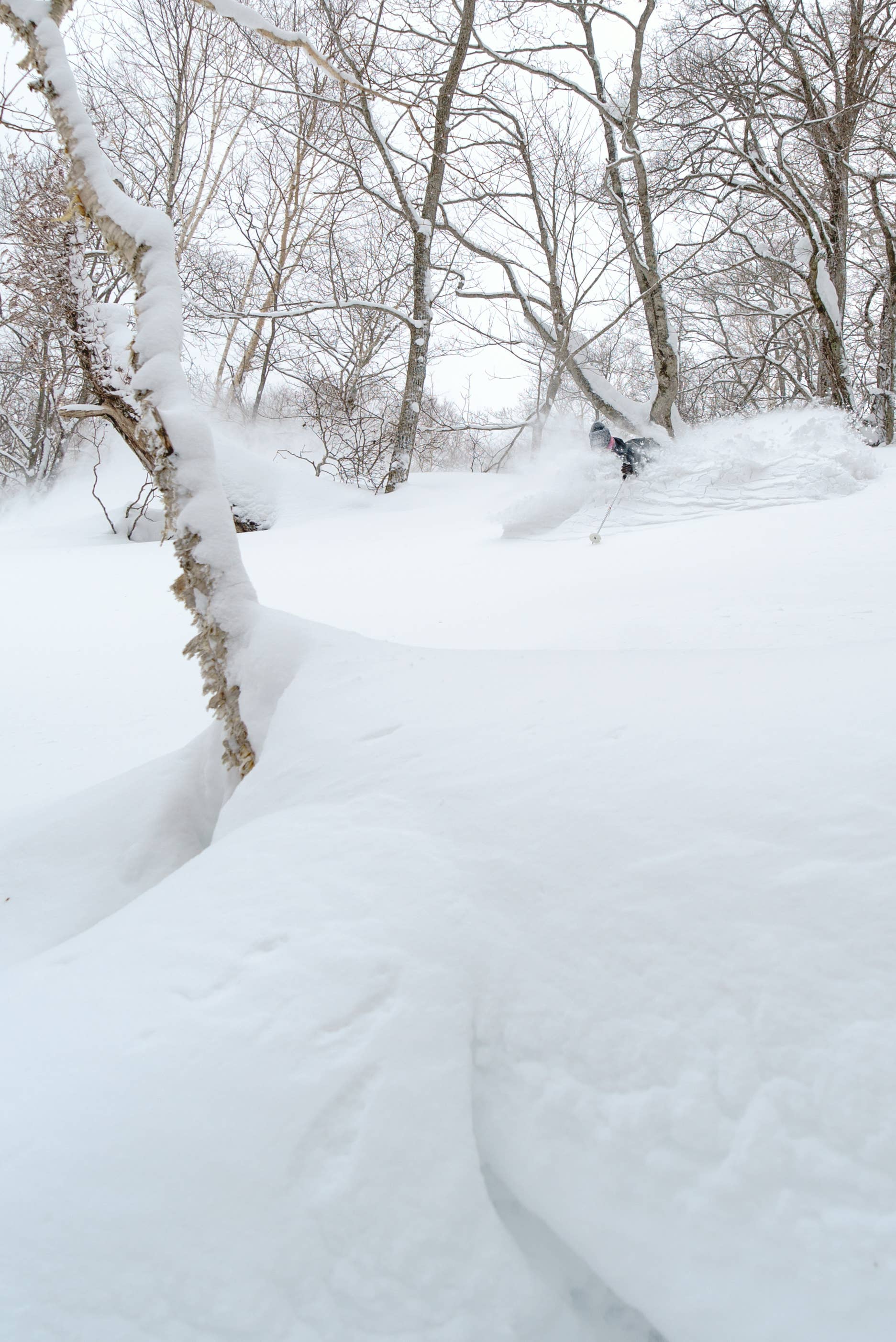 Charlie Cohn Train Skiing Niseko's Winter Wonderland - Adventure Sports Network