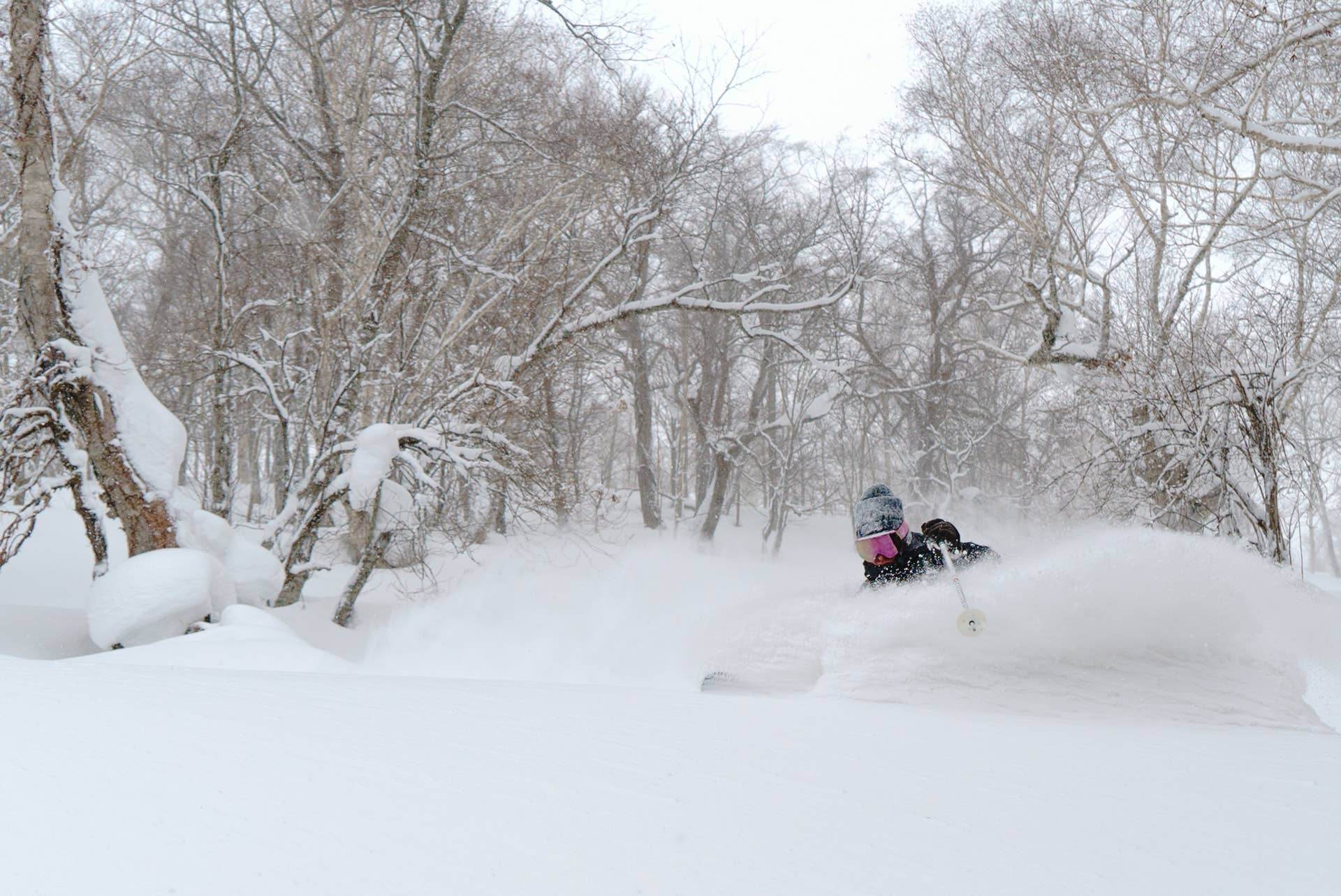 Charlie Cohn Train Skiing Niseko's Winter Wonderland - Adventure Sports Network