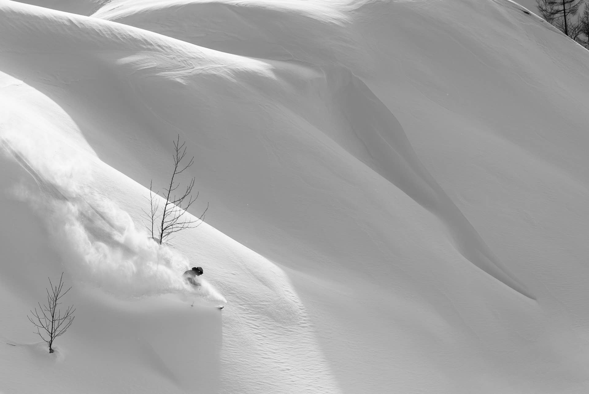 Charlie Cohn Train Skiing Niseko's Winter Wonderland - Adventure Sports Network