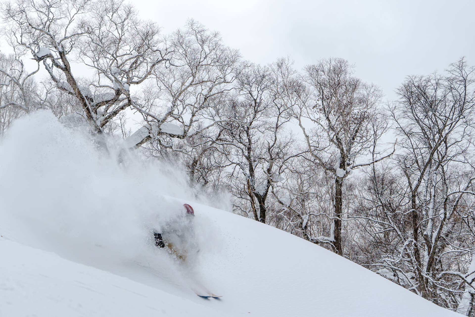 Charlie Cohn Train Skiing Niseko's Winter Wonderland - Adventure Sports Network