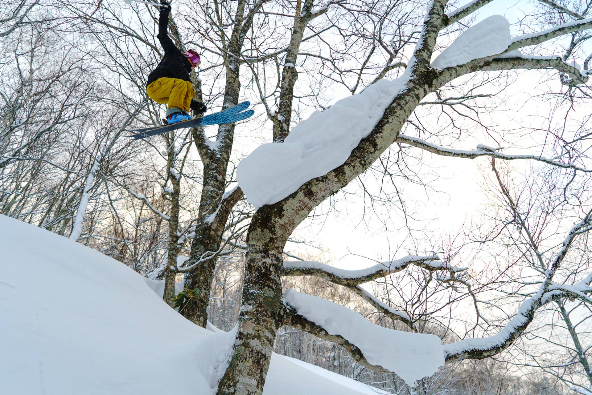 Charlie Cohn Train Skiing Niseko's Winter Wonderland - Adventure Sports Network