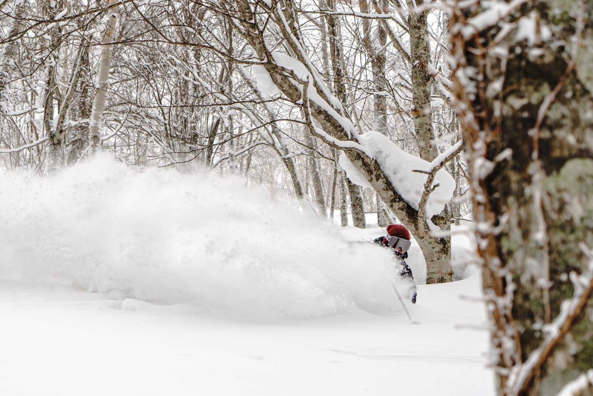 Skiing Niseko's Winter Wonderland - Adventure Sports Network