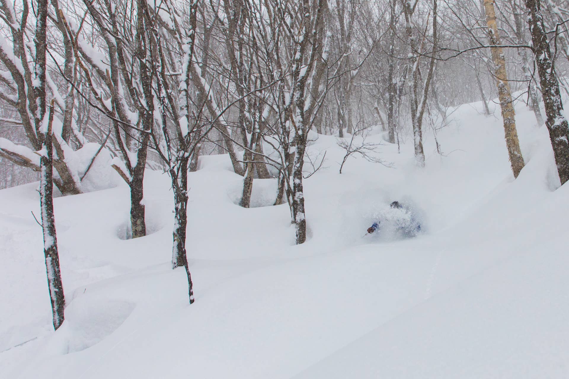 Skiing Niseko's Winter Wonderland - Adventure Sports Network