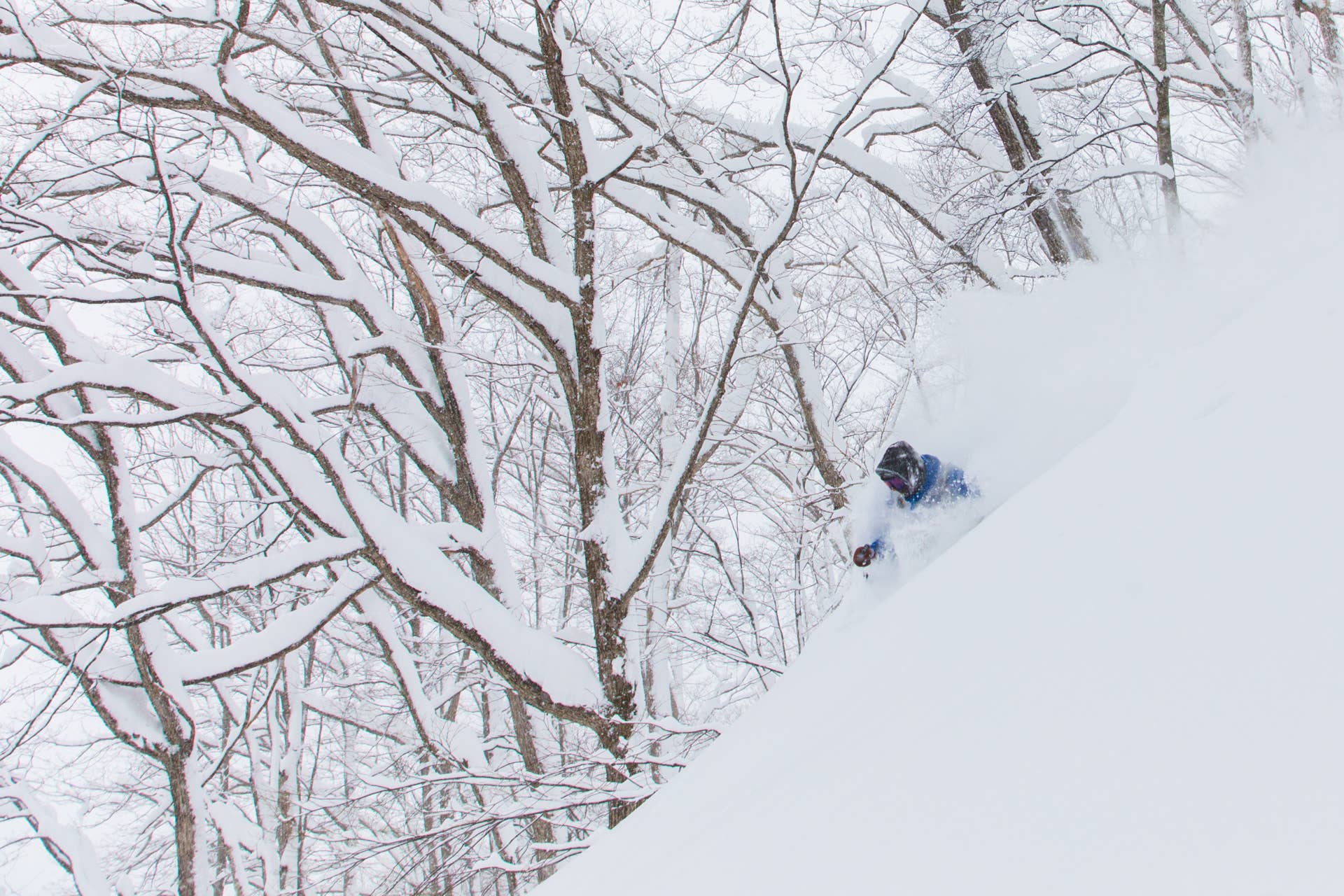 Skiing Niseko's Winter Wonderland - Adventure Sports Network