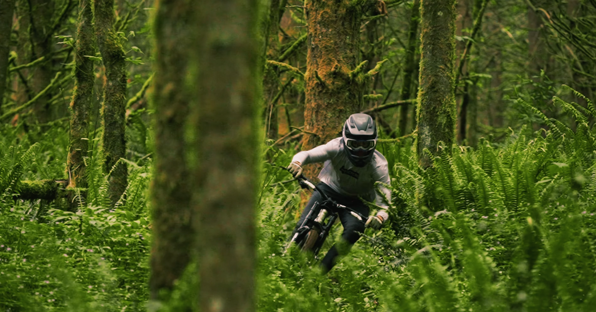 Alden Pate Rails His Handbuilt Loam Trails [Video] - Adventure Sports ...